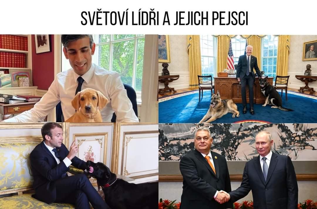 Obrázek lidri a pejsci