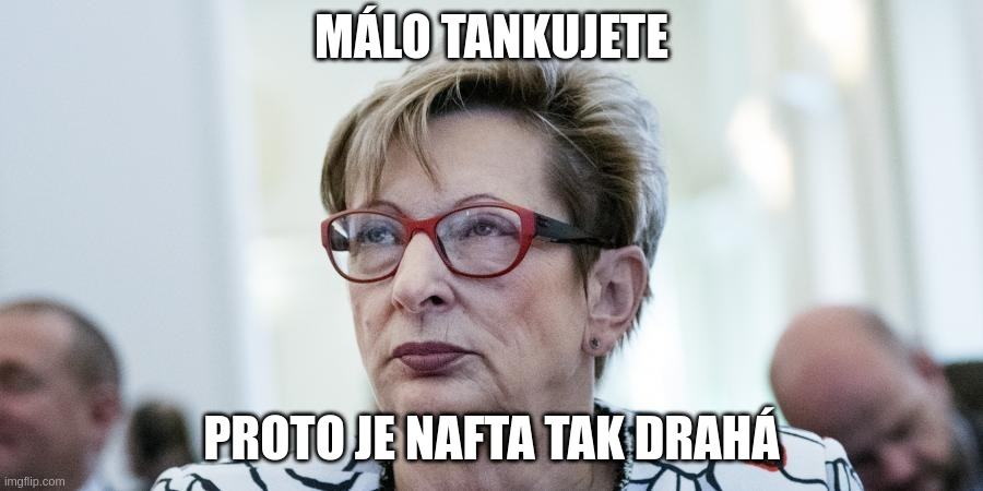 Obrázek logika novakova