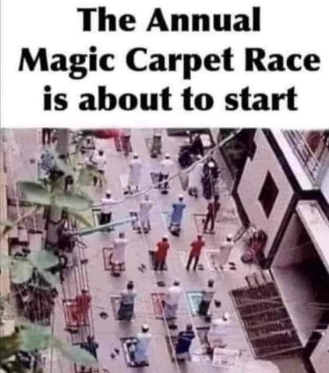 Obrázek magic carpet