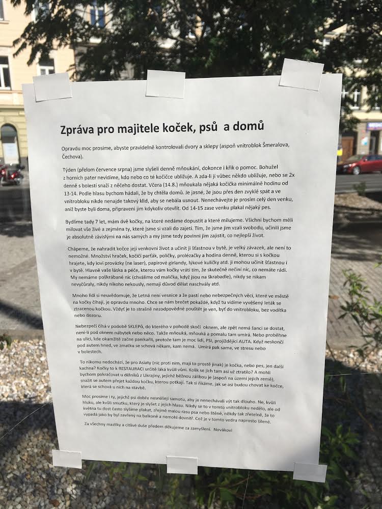 Obrázek meanwhileletna