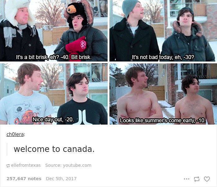 Obrázek memes about canada are as cool as the country itself 