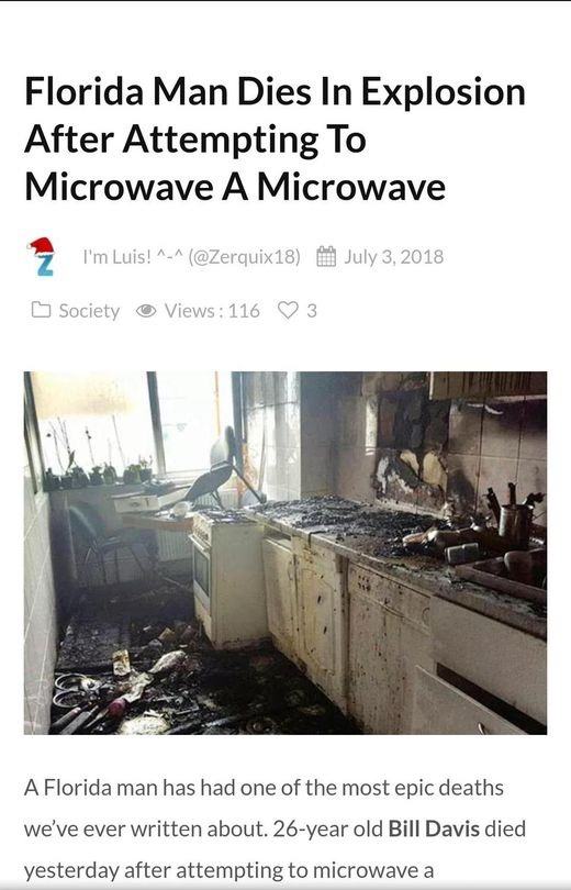 Obrázek microwaveception