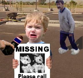 Obrázek missing pets