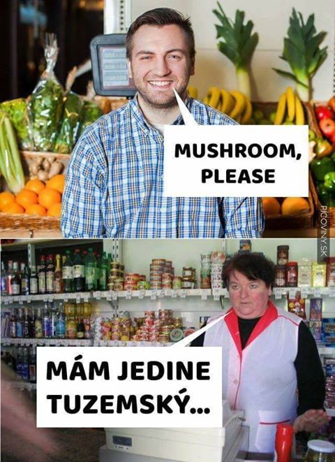 Obrázek mushroom please