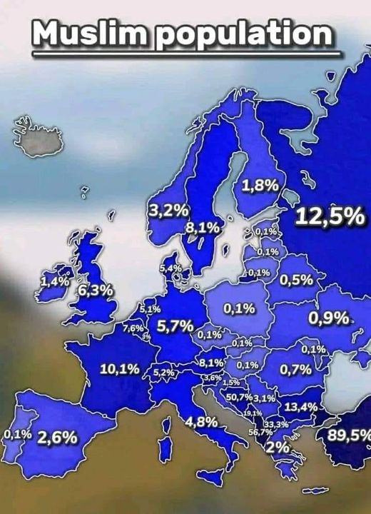 Obrázek muslims in europe