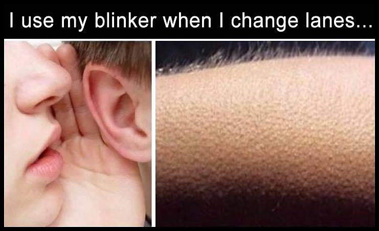 Obrázek my-blinker    