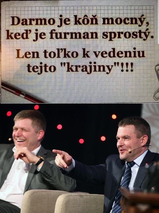 Obrázek neco o slopakiji