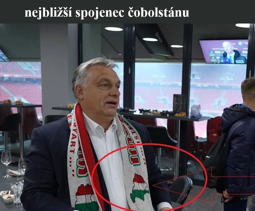 Obrázek nejblizsi spojenec cobolu