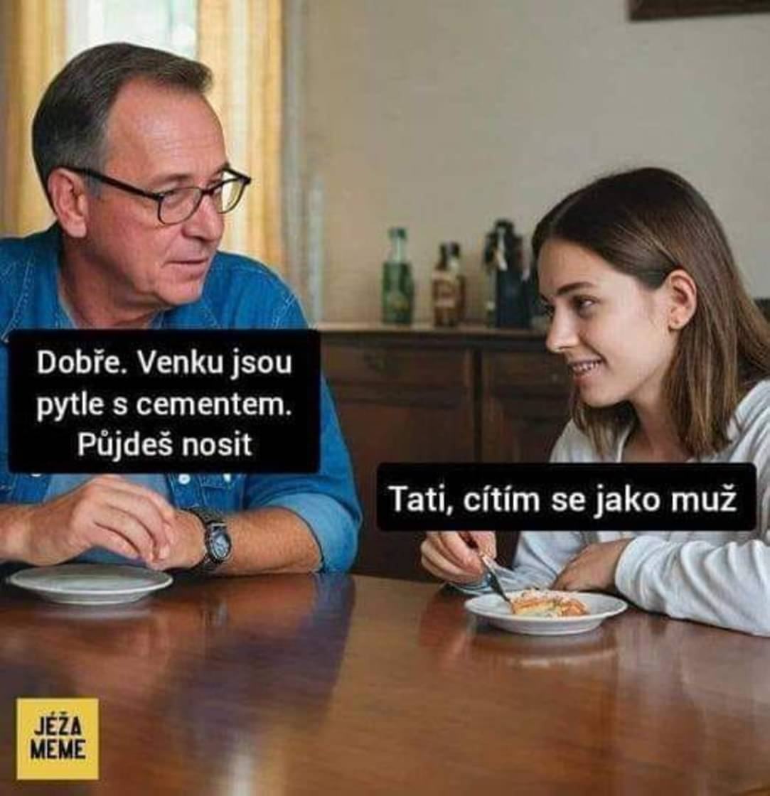 Obrázek nelibtatdska vychova