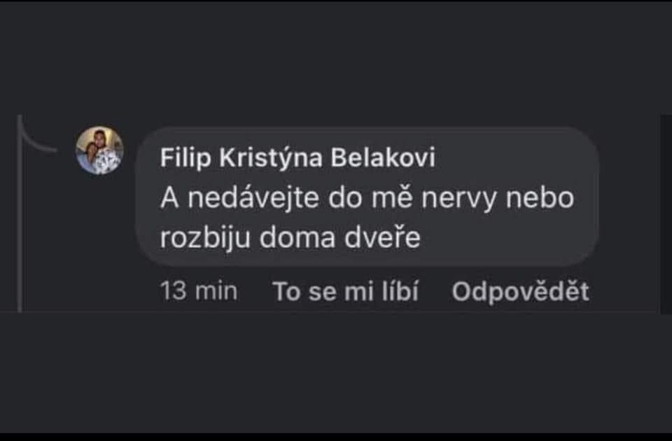 Obrázek nerviky