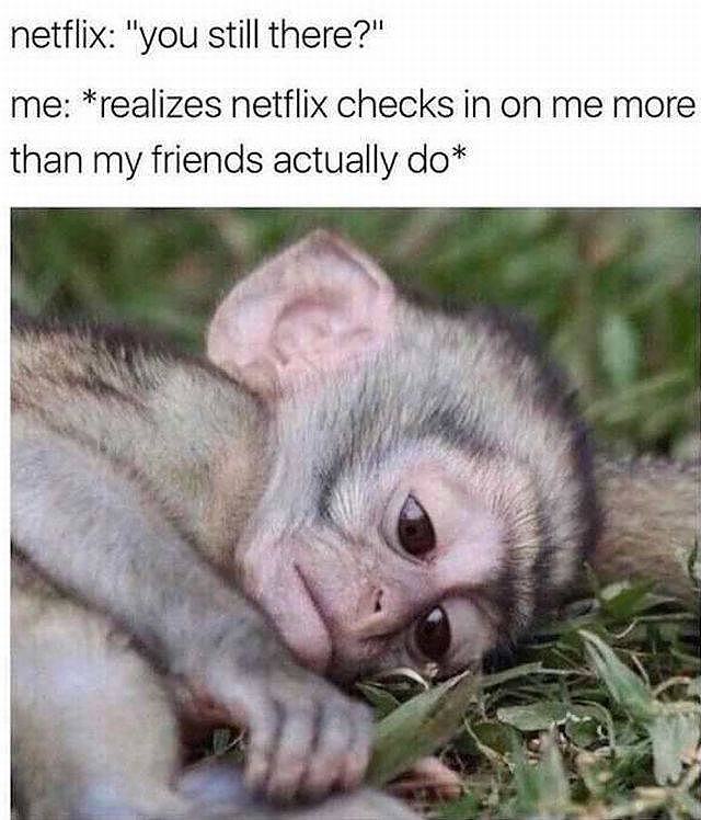 Obrázek netflix checks