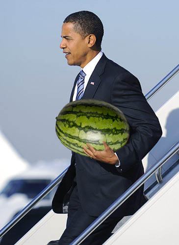 Obrázek obama meloun