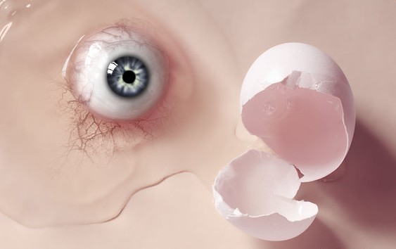 Obrázek oko vejce