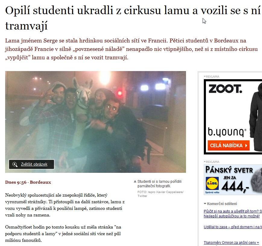 Obrázek opiti studenti a lama