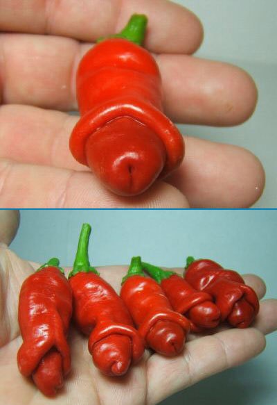 Obrázek papriky