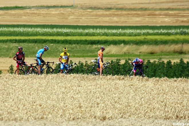 Obrázek peleton se posral