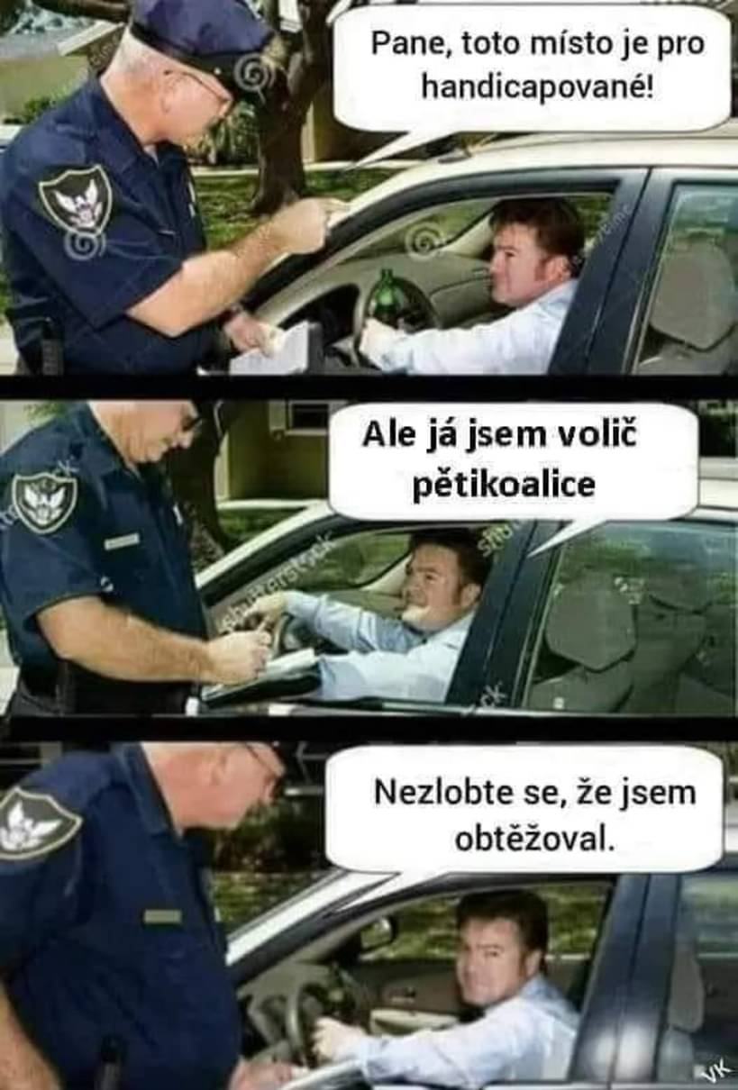 Obrázek piloerekce