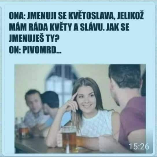 Obrázek pivomrd