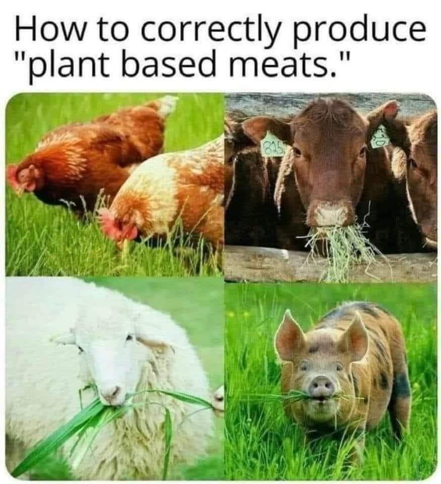 Obrázek plant based meat approved