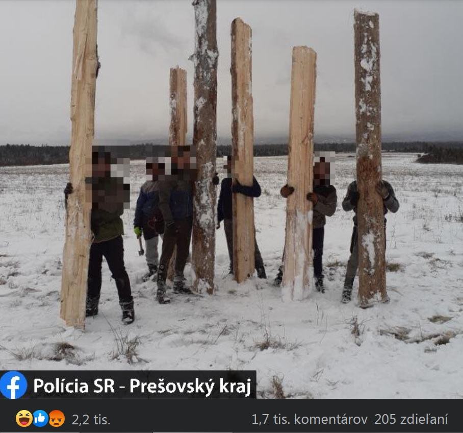 Obrázek policia chytila spoluobcanov pri kradezi dreva