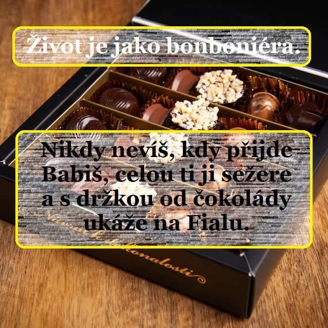 Obrázek politicka bonboniera