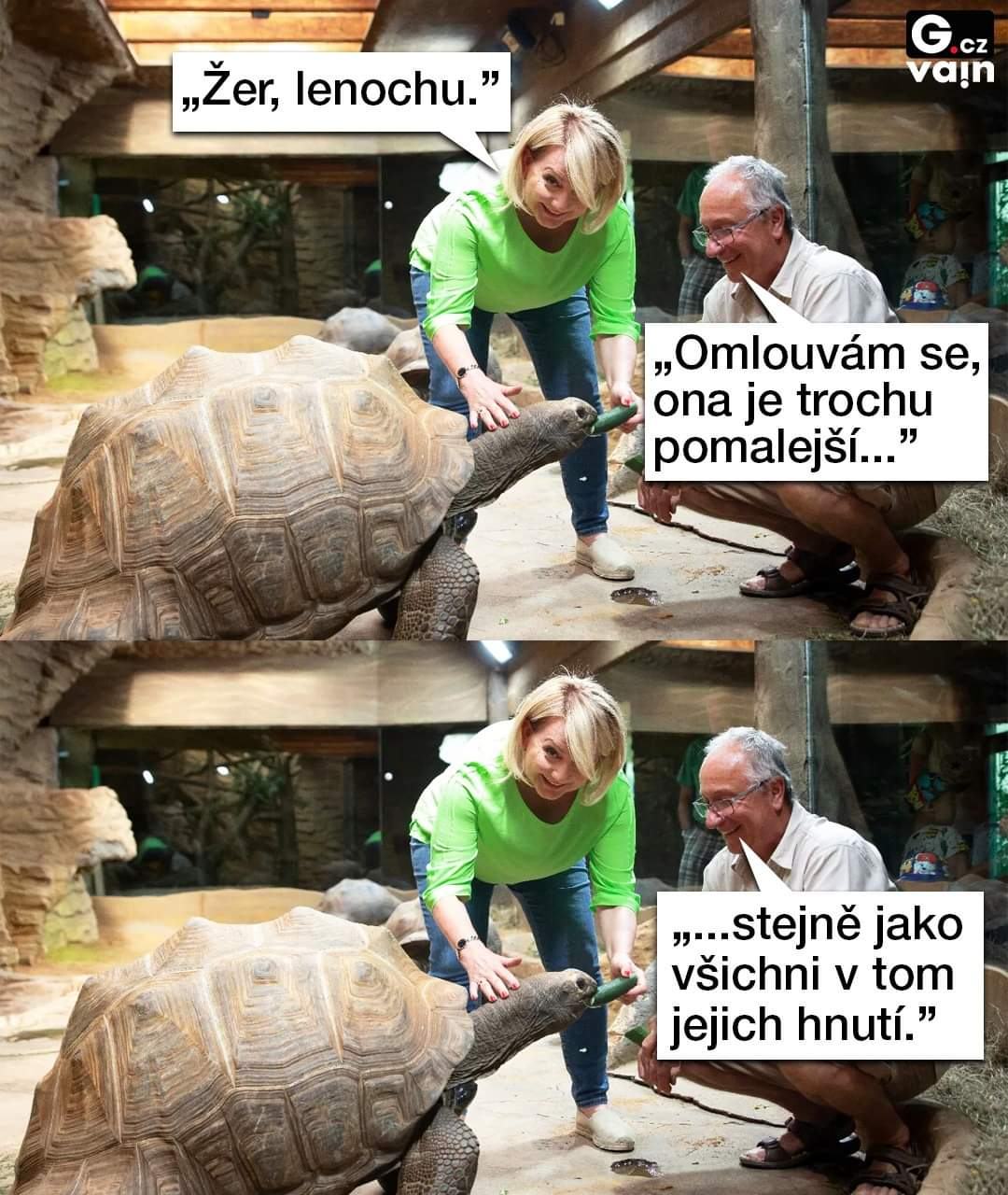 Obrázek pomalejsi zelva