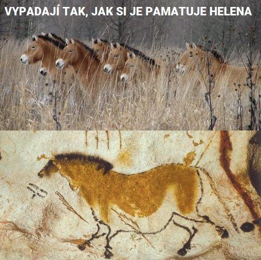 Obrázek porad stejni jak si pamata Helena