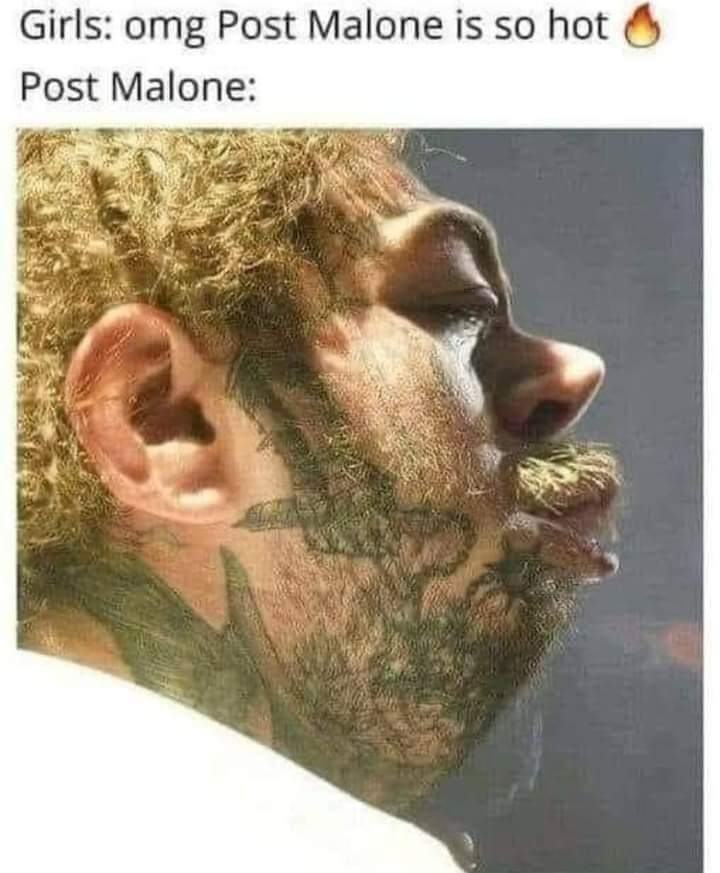 Obrázek post malone2