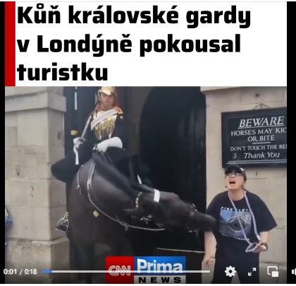 Obrázek pozor kone kousou