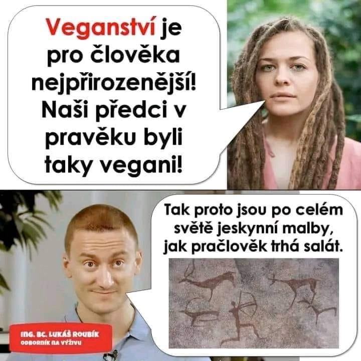 Obrázek praveka vyziva