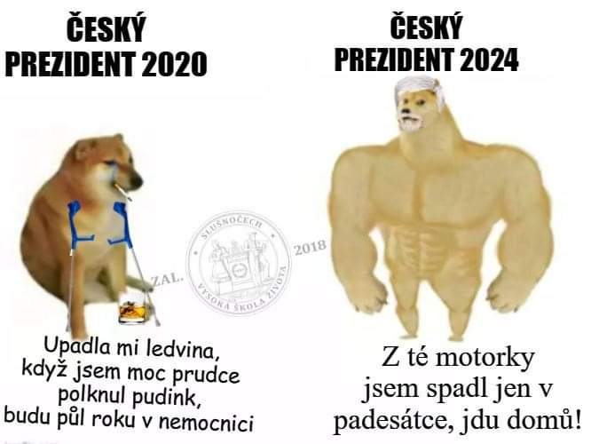 Obrázek president 2020 2024