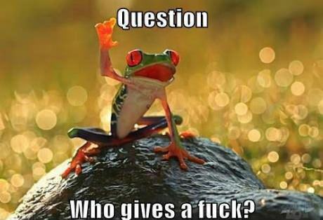 Obrázek questioning frog
