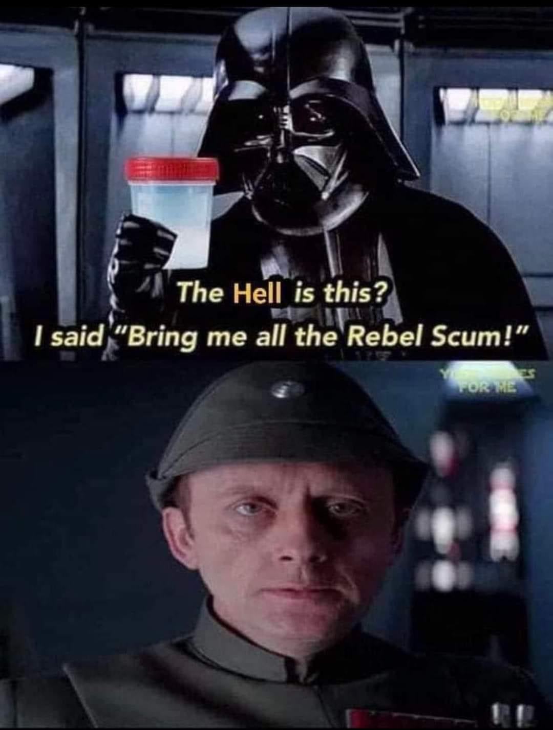 Obrázek rebel cum or scum