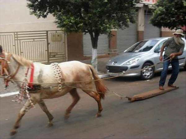 Obrázek redneck-in-city