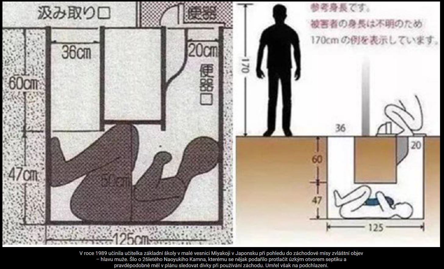 Obrázek roumenista z japonska