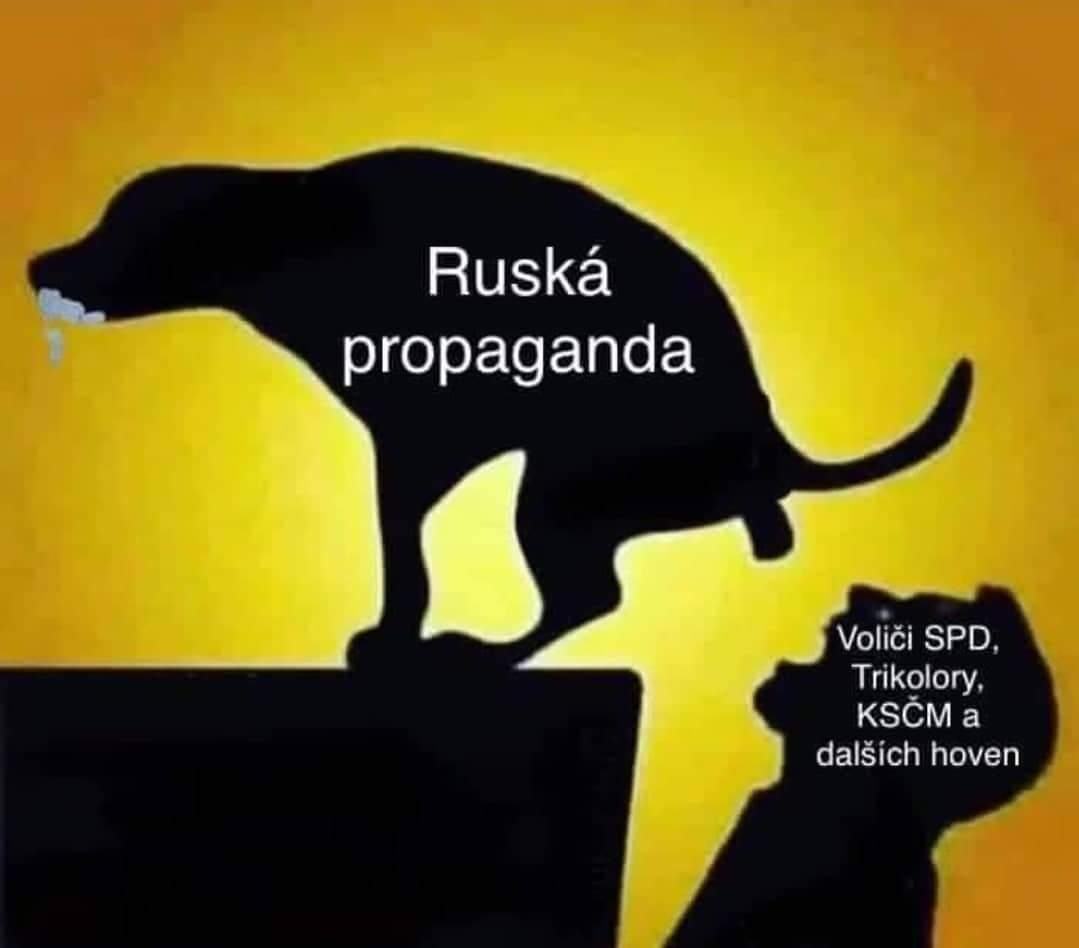 Obrázek ruSSka propaganda-volici SPD a dalsich hoven