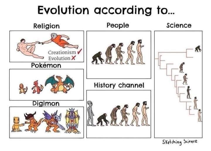 Obrázek ruzna evoluce