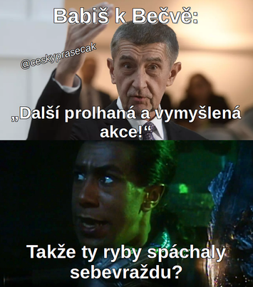 Obrázek ryby v becve