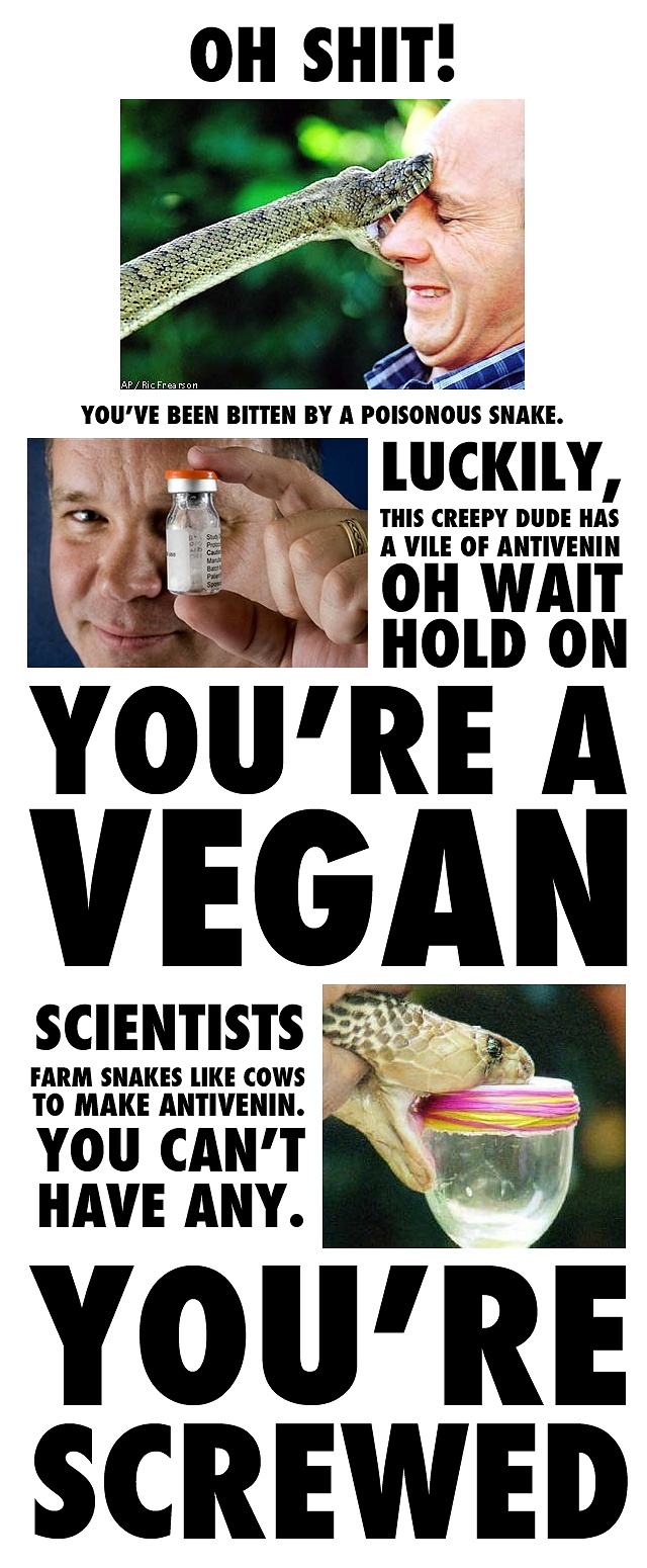 Obrázek screw vegans