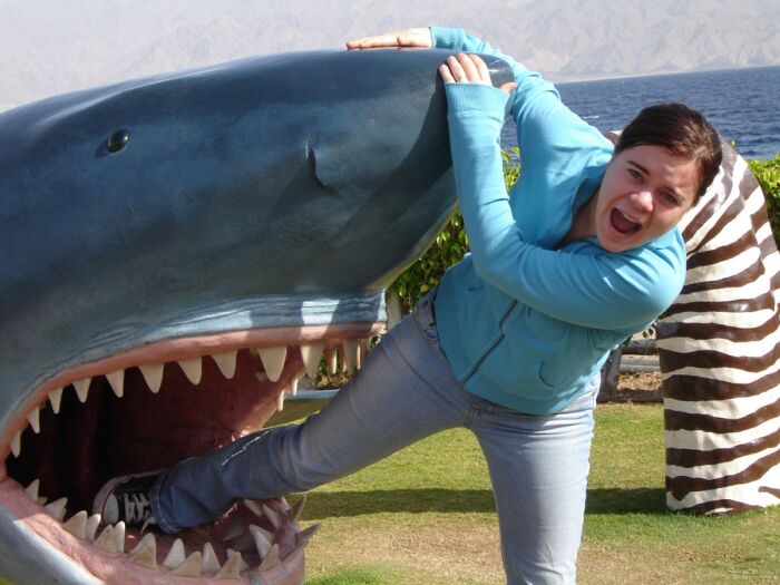Obrázek shark-attack