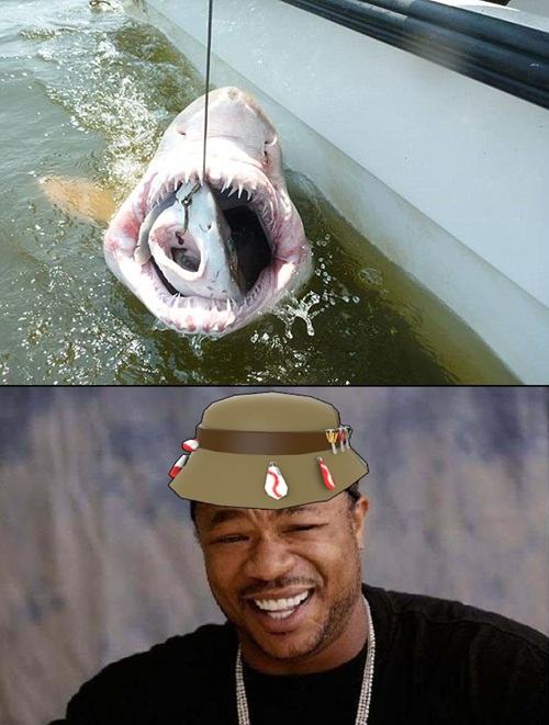 Obrázek sharkception