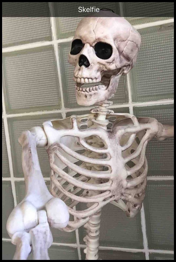 Obrázek skelfie  