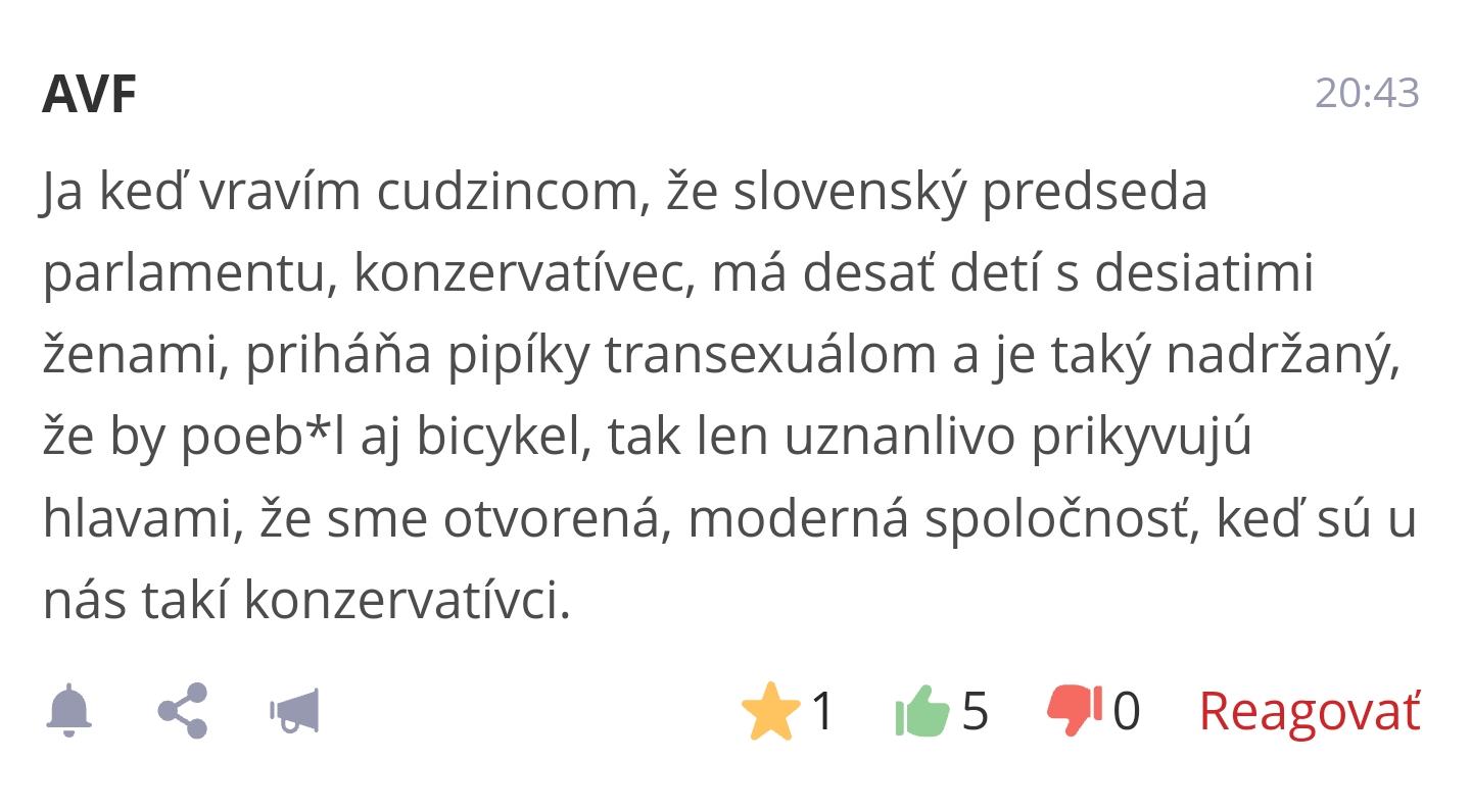 Obrázek slovensky konzervativec 