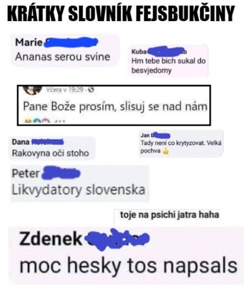 Obrázek slovnik fejsbukovstiny