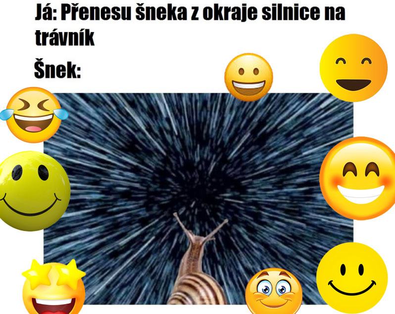 Obrázek sneci-pohled