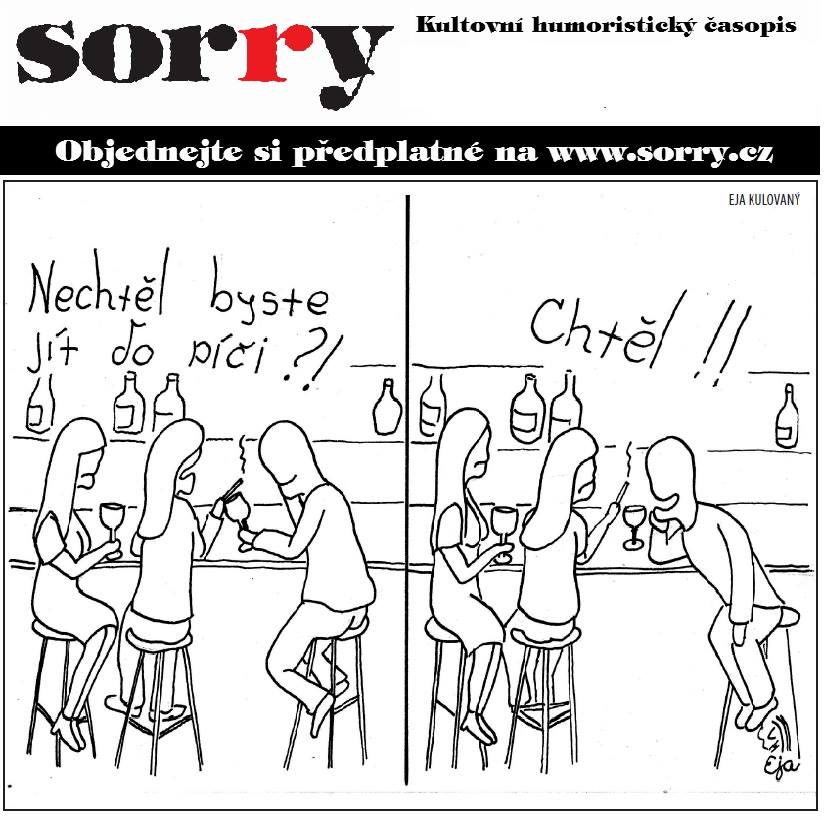 Obrázek sorry kulovany