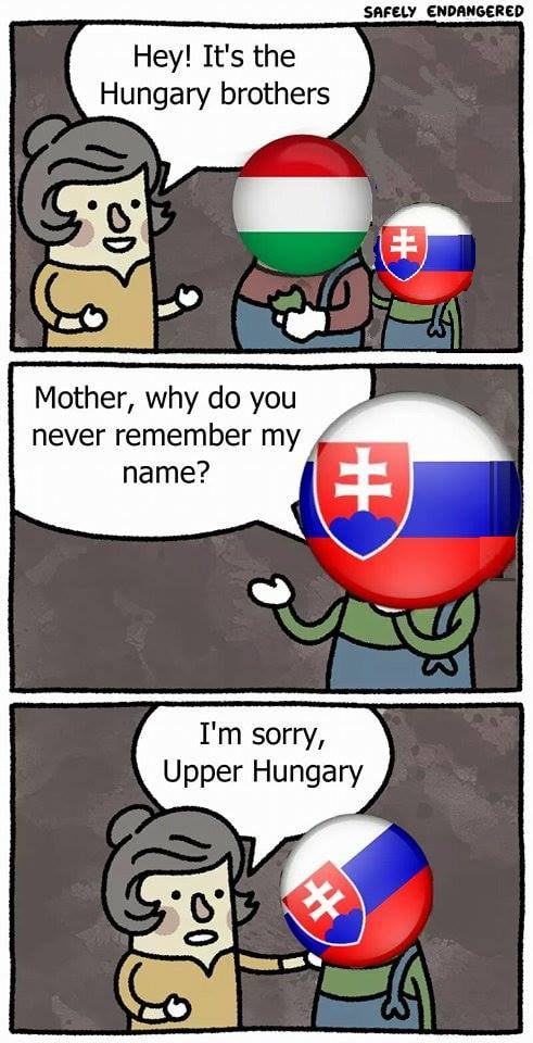 Obrázek sorry sorry fevidek