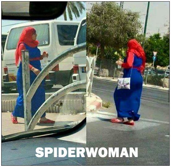 Obrázek spiderwoman