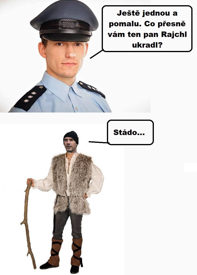 Obrázek stado