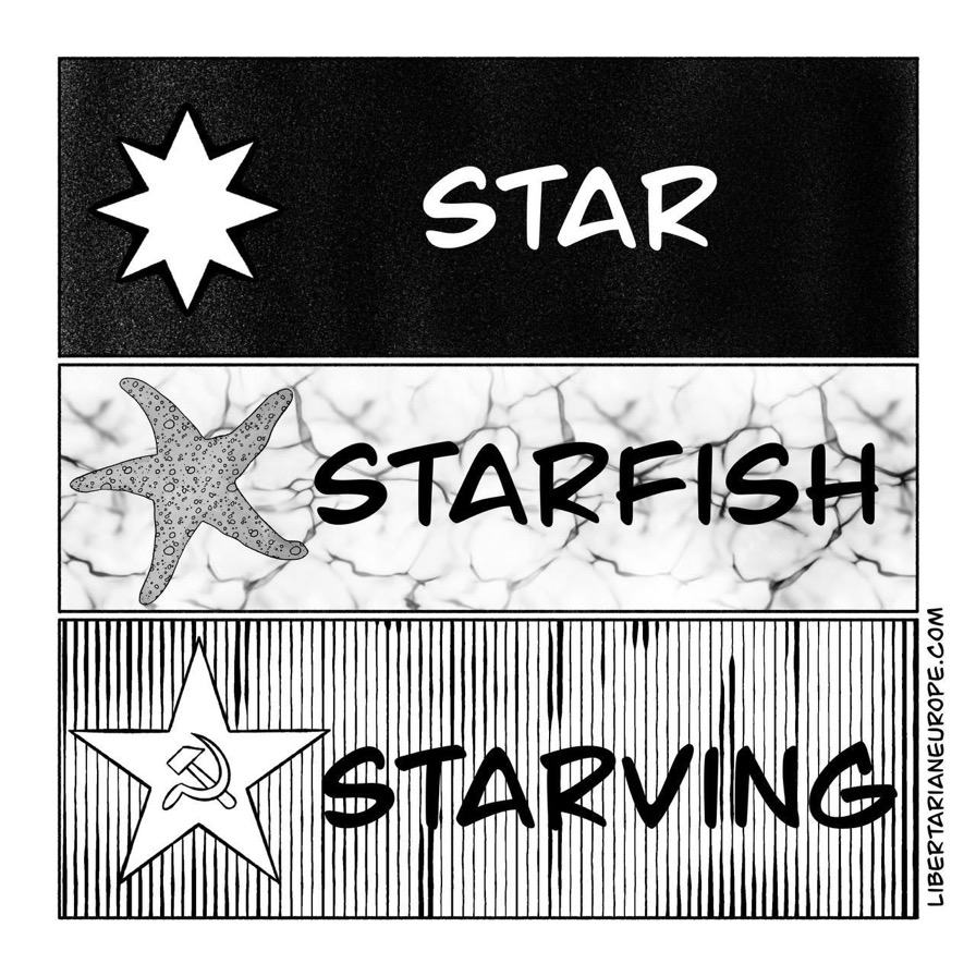 Obrázek star starfish starvation